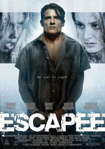 Скачать Беглец / Escapee (2011) фильм через торрент на русском