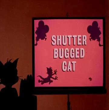 Кот скрытой камерой / Shutter Bugged Cat (1967) мультфильм скачать через торрент в хорошем качестве