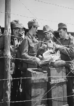 Сорок четыре (1958) через торрент скачать Сорок четыре (1958) фильм через торрент скачать