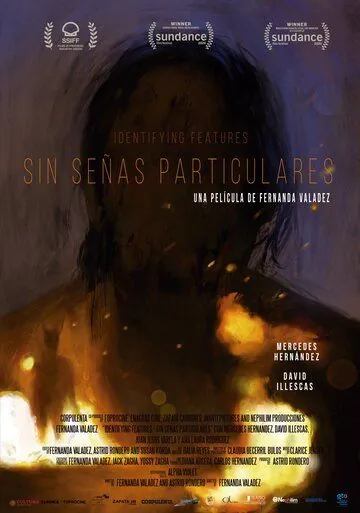 Без особых примет / Sin señas particulares (2020) фильм скачать через торрент в хорошем качестве