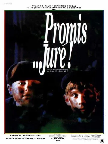 Клянусь… господин судья! / Promis... juré! (1987) фильм скачать через торрент в хорошем качестве