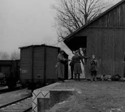 Выстрел из милосердия (1976) через торрент бесплатно Выстрел из милосердия (1976) фильм через торрент бесплатно