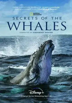Тайны китов / Secrets of the Whales (2021) сериал скачать через торрент в хорошем качестве