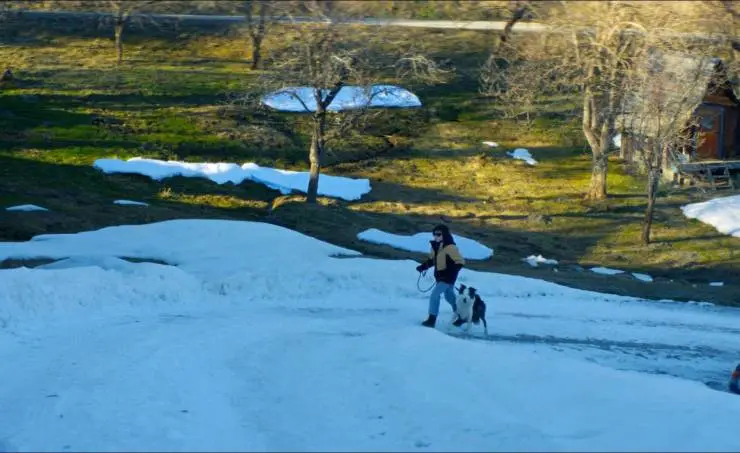 Анатомия падения (2023) через торрент бесплатно Анатомия падения (2023) фильм через торрент бесплатно