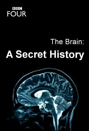 Мозг: Тайны сознания / The Brain: A Secret History (2011) сериал скачать через торрент в хорошем качестве