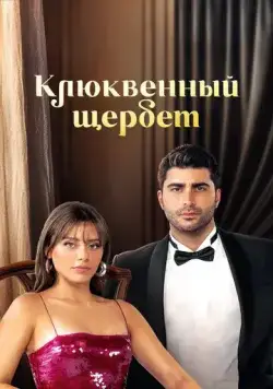 Клюквенный щербет / Kızılcık Şerbeti 2022 скачать через торрент сериал в хорошем качестве