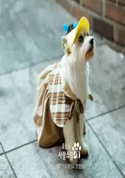 Отличный день, чтобы стать собакой (2023) в хорошем качестве через торрент Отличный день, чтобы стать собакой (2023) сериал в хорошем качестве через торрент