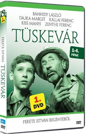 Терновая крепость / Tüskevár (1967) сериал скачать через торрент в хорошем качестве