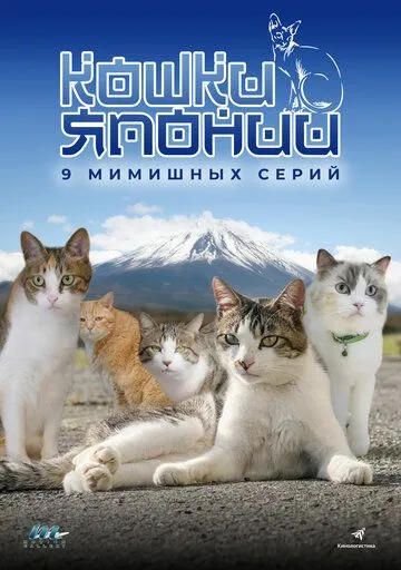 Кошки Японии / Cats of Japan (2017) сериал скачать через торрент в хорошем качестве