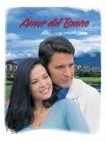 Любовь прекрасна / Amor del bueno (2004) сериал скачать через торрент в хорошем качестве