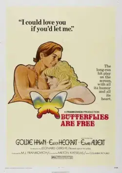 Бабочки свободны / Butterflies Are Free (1972) фильм скачать через торрент в хорошем качестве