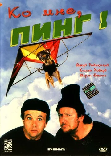 Ко мне, Пинг! / Ping! (2000) фильм скачать через торрент в хорошем качестве
