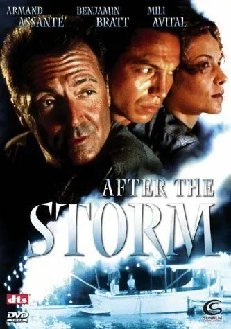 Скачать После шторма / After the Storm (2001) фильм через торрент на русском