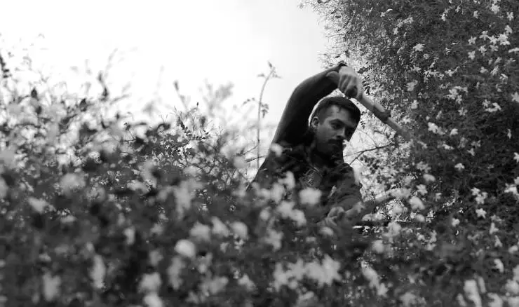 Собака не перестанет лаять (2021) через торрент скачать Собака не перестанет лаять (2021) фильм через торрент скачать