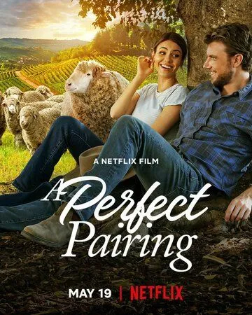 Идеальное сочетание / A Perfect Pairing (2022) фильм скачать через торрент в хорошем качестве