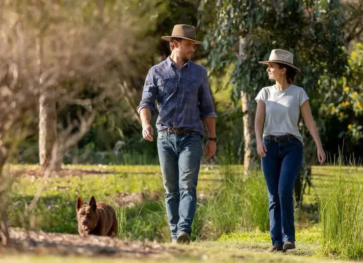 Идеальное сочетание (2022) через торрент бесплатно Идеальное сочетание (2022) фильм через торрент бесплатно