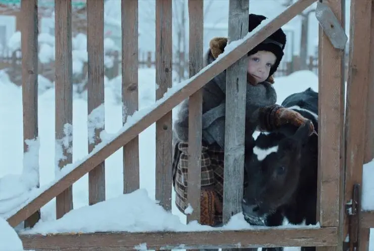 Телёнок (2019) через торрент бесплатно Телёнок (2019) фильм через торрент бесплатно