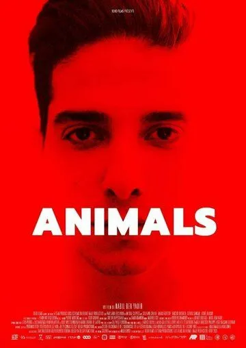 Животные / Animals (2021) фильм скачать через торрент в хорошем качестве