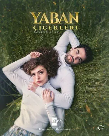 Дикие цветы / Yaban Çiçekleri (2024) cериал на русском скачать через торрент файл