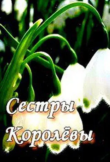 Сестры Королевы (2010) сериал скачать через торрент в хорошем качестве