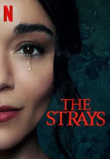 Бродяги / The Strays (2023) фильм скачать через торрент в хорошем качестве