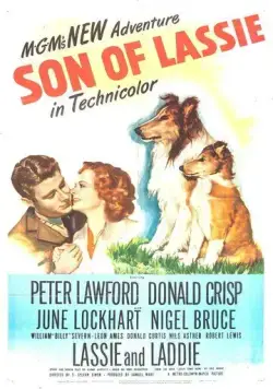 Скачать Сын Лесси / Son of Lassie (1945) фильм через торрент на русском