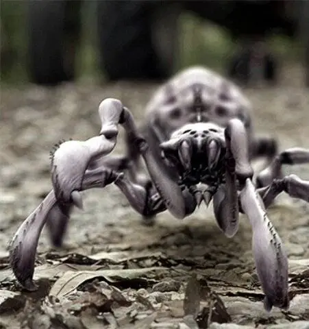 Паучий удар (2012) через торрент скачать Паучий удар (2012) фильм через торрент скачать