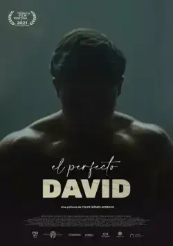 Идеальный Давид / El perfecto David (2021) фильм скачать через торрент в хорошем качестве