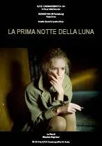 Скачать Светлая сторона Луны / La prima notte della luna (2010) cериал через торрент на русском