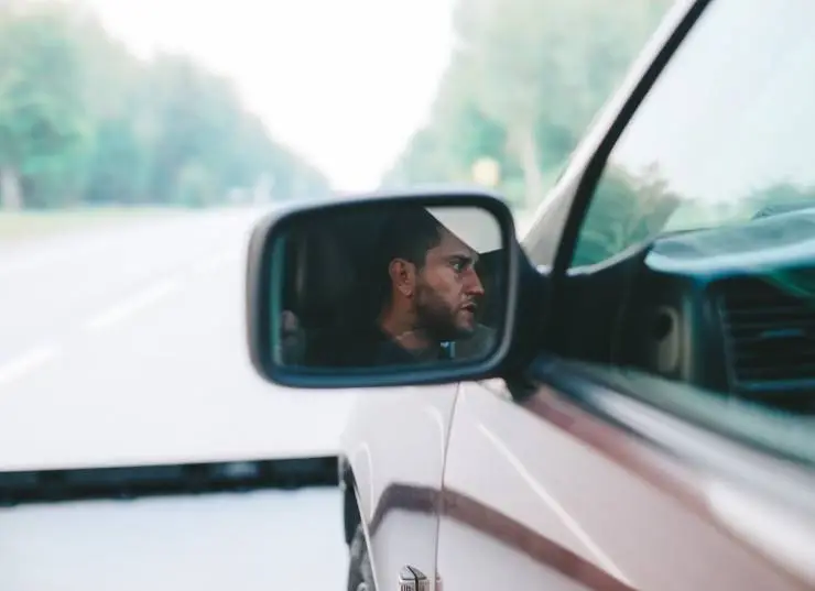 Слон (2022) через торрент скачать Слон (2022) фильм через торрент скачать