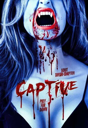 Пленник / Captive (2023) фильм скачать через торрент в хорошем качестве