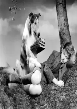 Лесси возвращается домой (1943) через торрент бесплатно Лесси возвращается домой (1943) фильм через торрент бесплатно