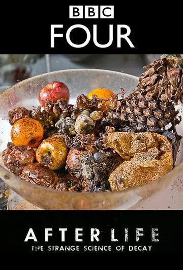 Скачать После смерти: Загадочная наука разложения / After Life: The Strange Science of Decay (2011) фильм через торрент на русском