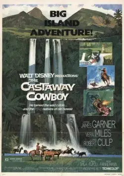 Ковбой издалека / The Castaway Cowboy (1974) фильм скачать через торрент в хорошем качестве