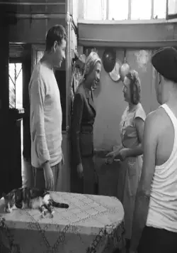 Пуэнт-Курт (1955) через торрент бесплатно Пуэнт-Курт (1955) фильм через торрент бесплатно