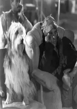 Парень и его пес (1974) через торрент бесплатно Парень и его пес (1974) фильм через торрент бесплатно