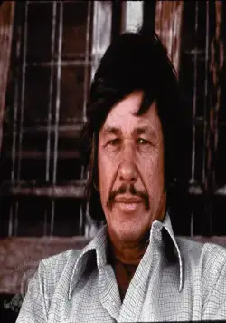 Мистер Маджестик (1974) через торрент скачать Мистер Маджестик (1974) фильм через торрент скачать