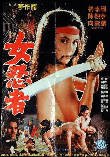 Задание леди-ниндзя / Lang nu shen long jian (1983) фильм скачать через торрент в хорошем качестве