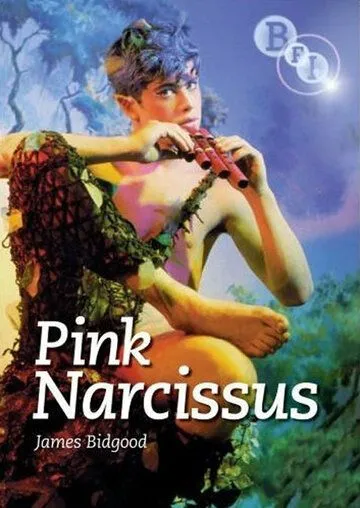 Розовый нарцисс / Pink Narcissus (1971) фильм скачать через торрент в хорошем качестве