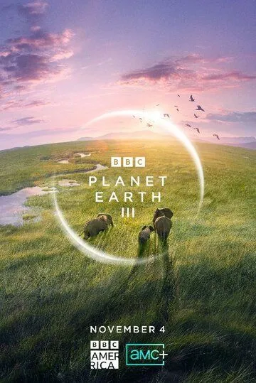 BBC: Планета Земля III / Planet Earth III (2023) сериал скачать через торрент в хорошем качестве