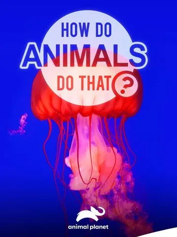Удивительный мир животных / How do Animals do That (2019) сериал скачать через торрент в хорошем качестве