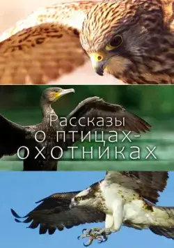 Рассказы о птицах-охотниках / Tales of the Avian Hunters (2011) сериал скачать через торрент в хорошем качестве