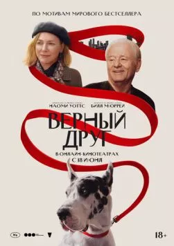Скачать Верный друг / The Friend (2024) фильм через торрент на русском