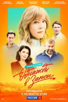 Однажды в Залесье (2025) сериал скачать через торрент в хорошем качестве