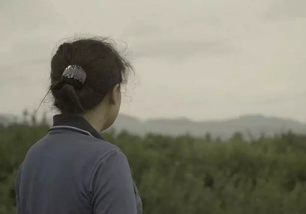 Цветы в тени (2019) через торрент бесплатно Цветы в тени (2019) фильм через торрент бесплатно