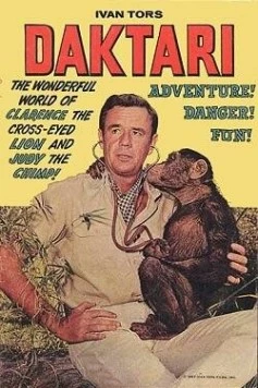 Дактари / Daktari (1966) сериал скачать через торрент в хорошем качестве
