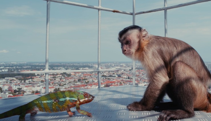 Побег из зоопарка (2024) через торрент скачать Побег из зоопарка (2024) фильм через торрент скачать