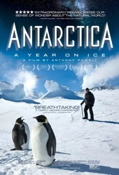 Антарктида: Год на льду / Antarctica: A Year on Ice (2013) фильм скачать через торрент в хорошем качестве