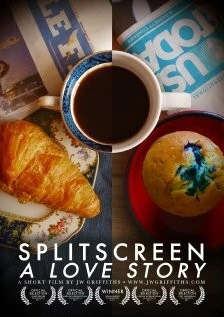 Скачать История любви на разделенном экране / Splitscreen: A Love Story (2011) фильм через торрент на русском