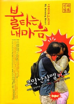 Скачать Моё пылающее сердце / Bultaneun nae maeum (2010) фильм через торрент на русском
